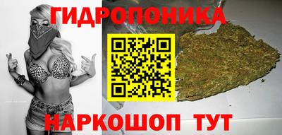 прущие грибы Бузулук