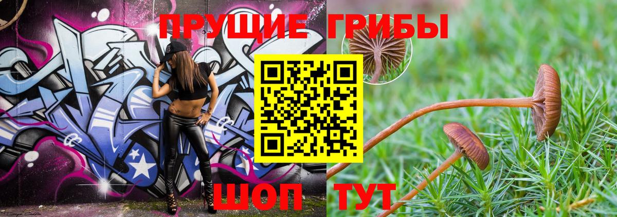 Новозыбков  Меф МЯУ МЯУ кристаллы  Cocaine  Гашиш  МЕТ  Цена  Вход с VPN  Меф  Бошки Шишки  Метадон 