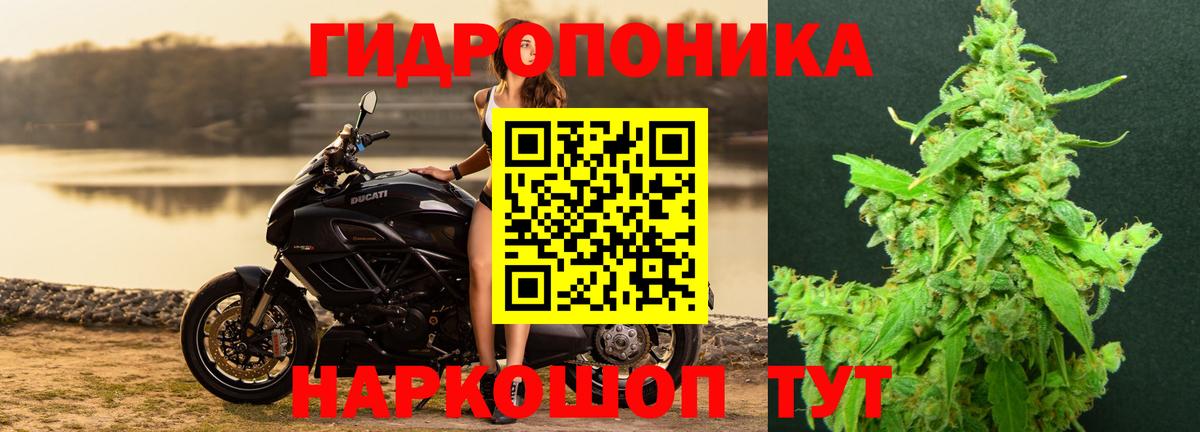 Бошки марихуана LSD WEED  Вход с VPN  Каннабис Ganja  Новозыбков 