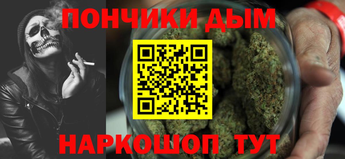 Конопля план Новозыбков